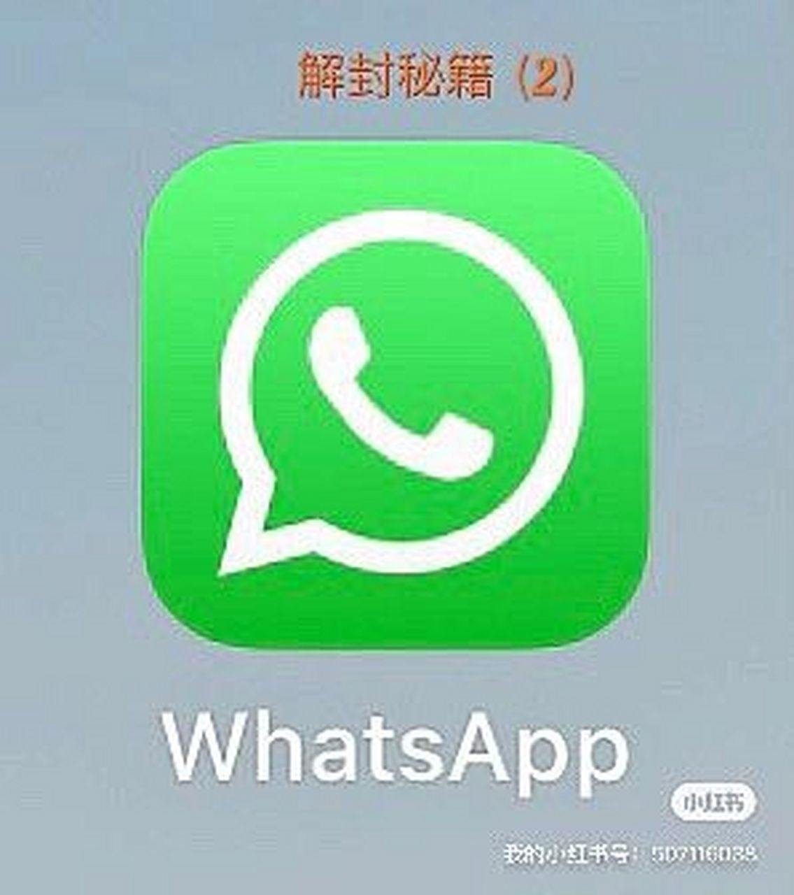 whatsapp官网免费下载、whatsapp官网下载安装最新版本