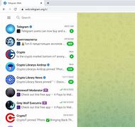 关于web.telegram.org.cn的信息