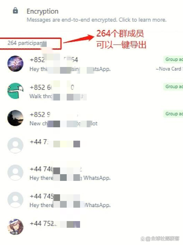 关于手机版whatsapp如何添加联系人的信息