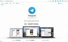 黑色telegeramX官网、电报telegeram官网入口