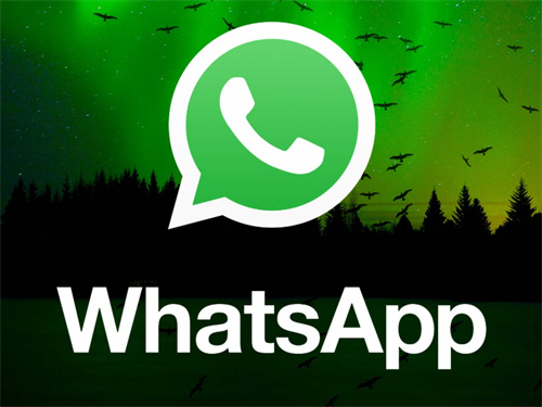 官方whatsapp下载不了、whatsapp下载后无法安装