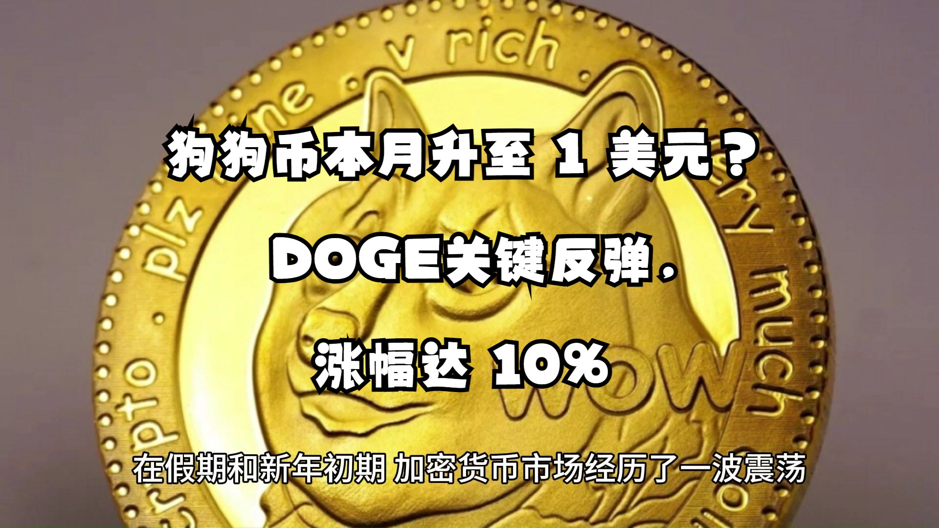 狗狗币100美元、狗狗币001美元