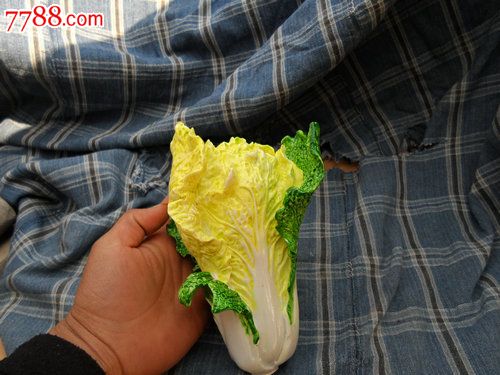 一清二白打一最佳动物的简单介绍