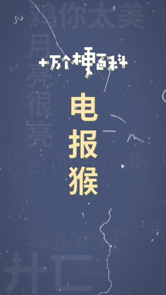 包含电报猴视频无消音地址的词条