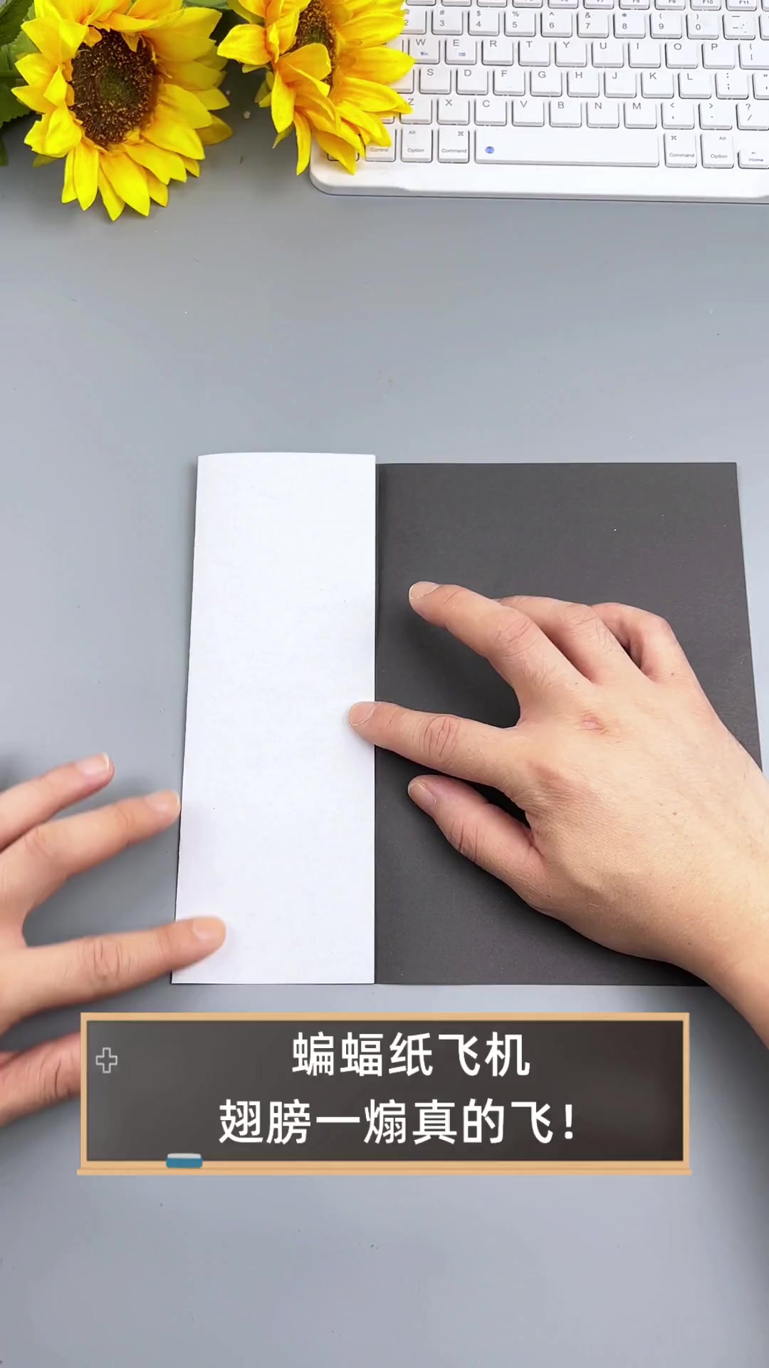 蝙蝠app和纸飞机哪个好、蝙蝠聊天软件会被警方查到吗