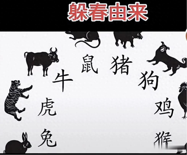 立春是特打一生肖、立春打一生肖是什么动物