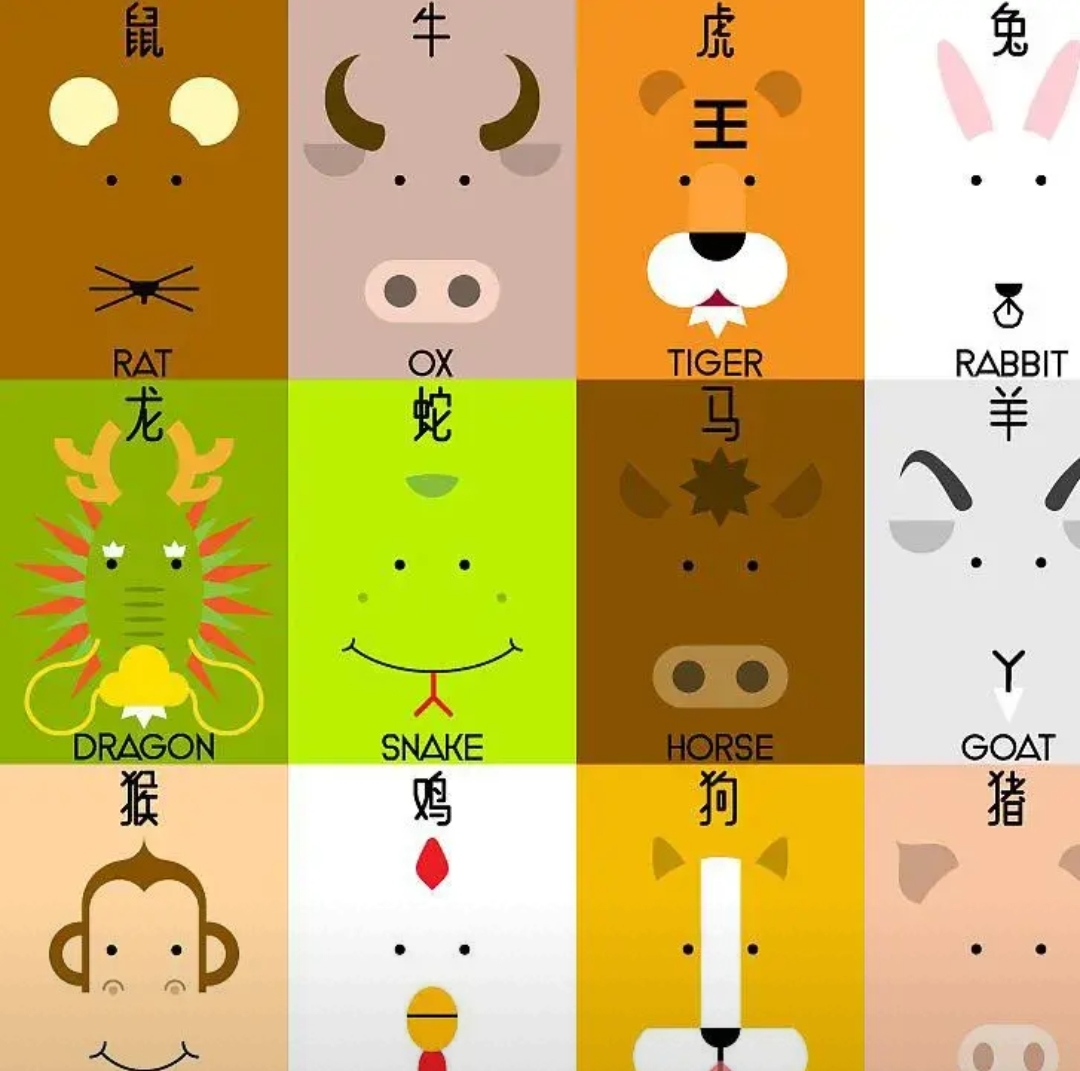 后果字打一最佳生肖的简单介绍