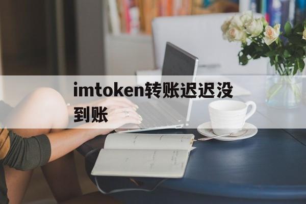 imtoken转账迟迟没到账-imtoken转账成功但没收到币