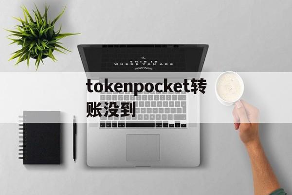 tokenpocket转账没到,tokenpocket钱包下载不了