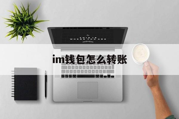 im钱包怎么转账、im钱包冷钱包官方版
